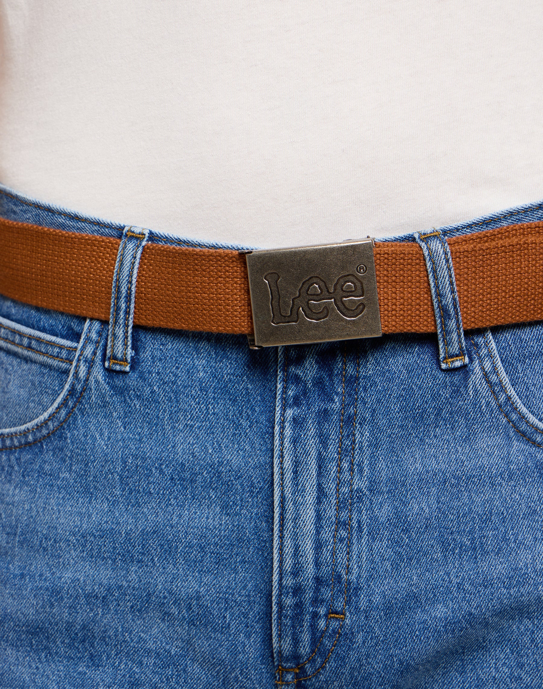 Webbing Belt in Acorn Belt Lee