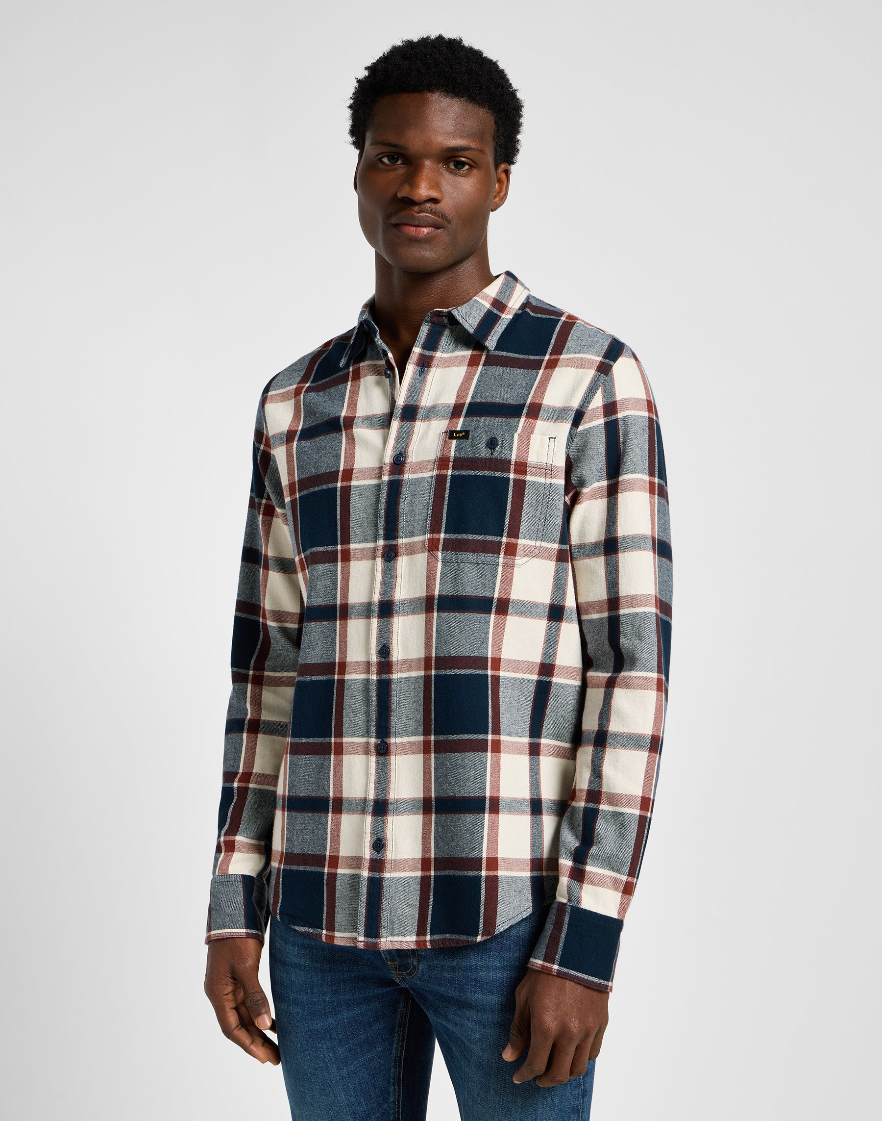 Leesure Shirt in Blue Shirts Lee