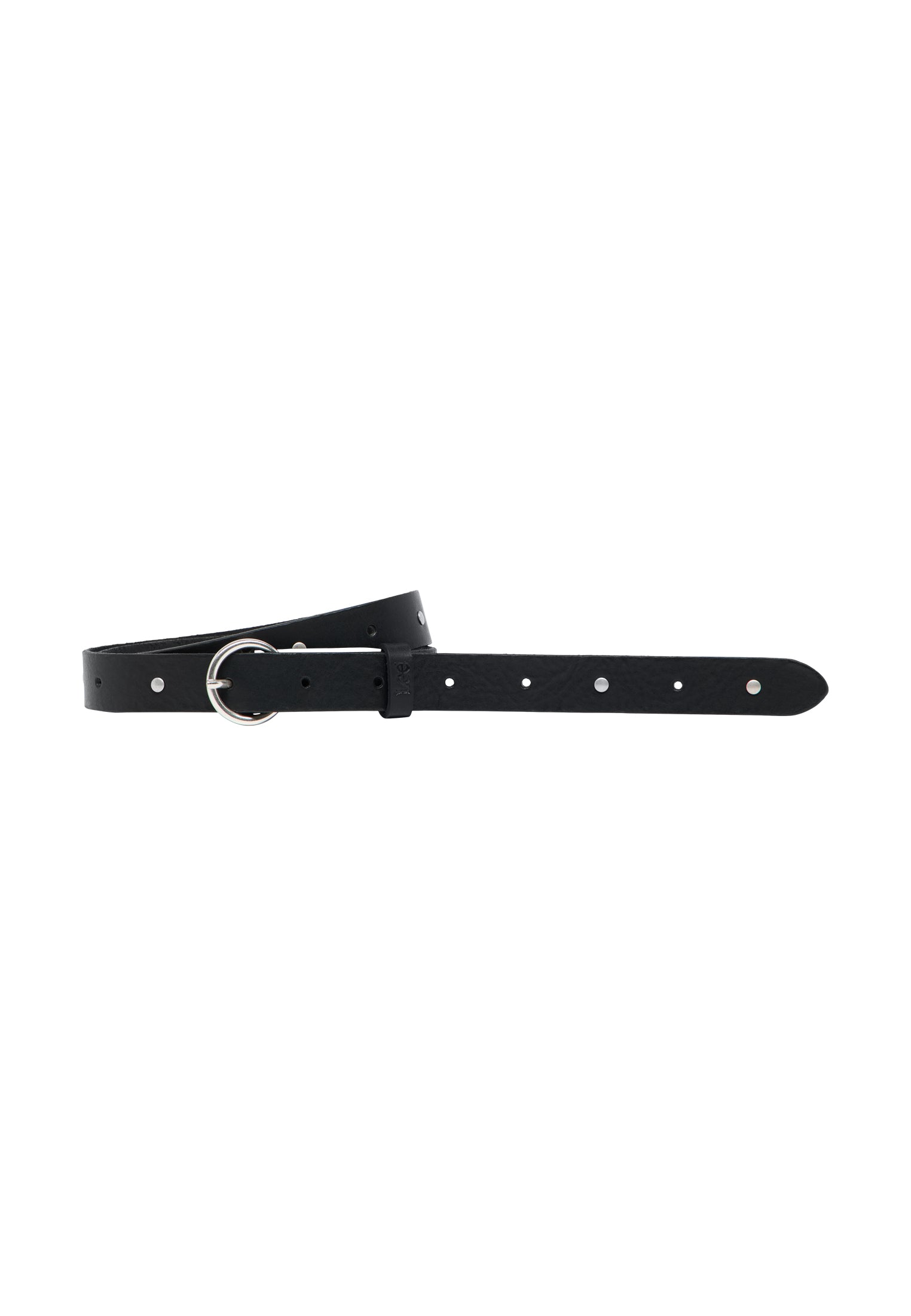 Studded Belt in Black Belt Lee
