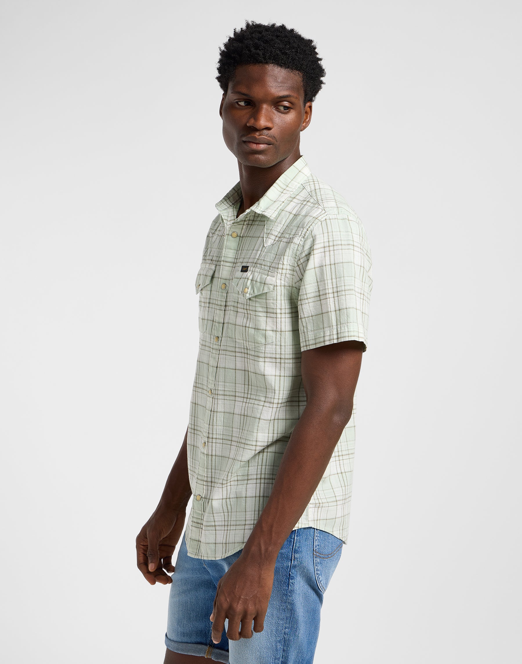 Ss Western Shirt in Mercantile Sage Ombre Shirts Lee
