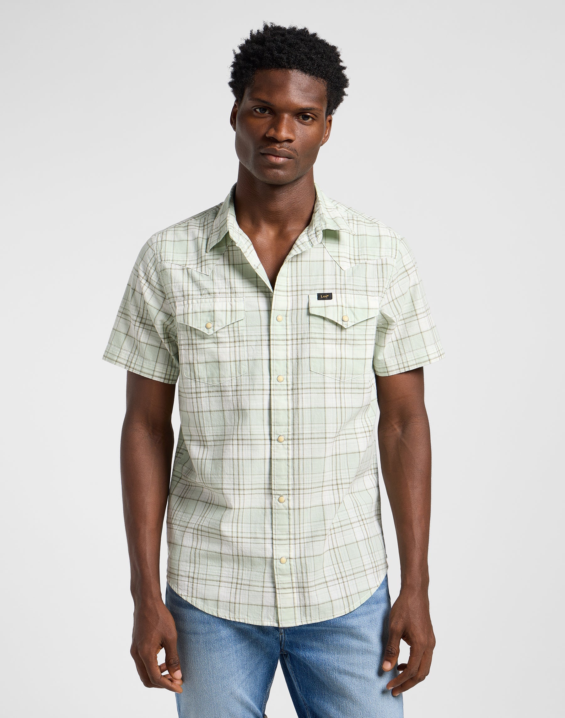 Ss Western Shirt in Mercantile Sage Ombre Shirts Lee