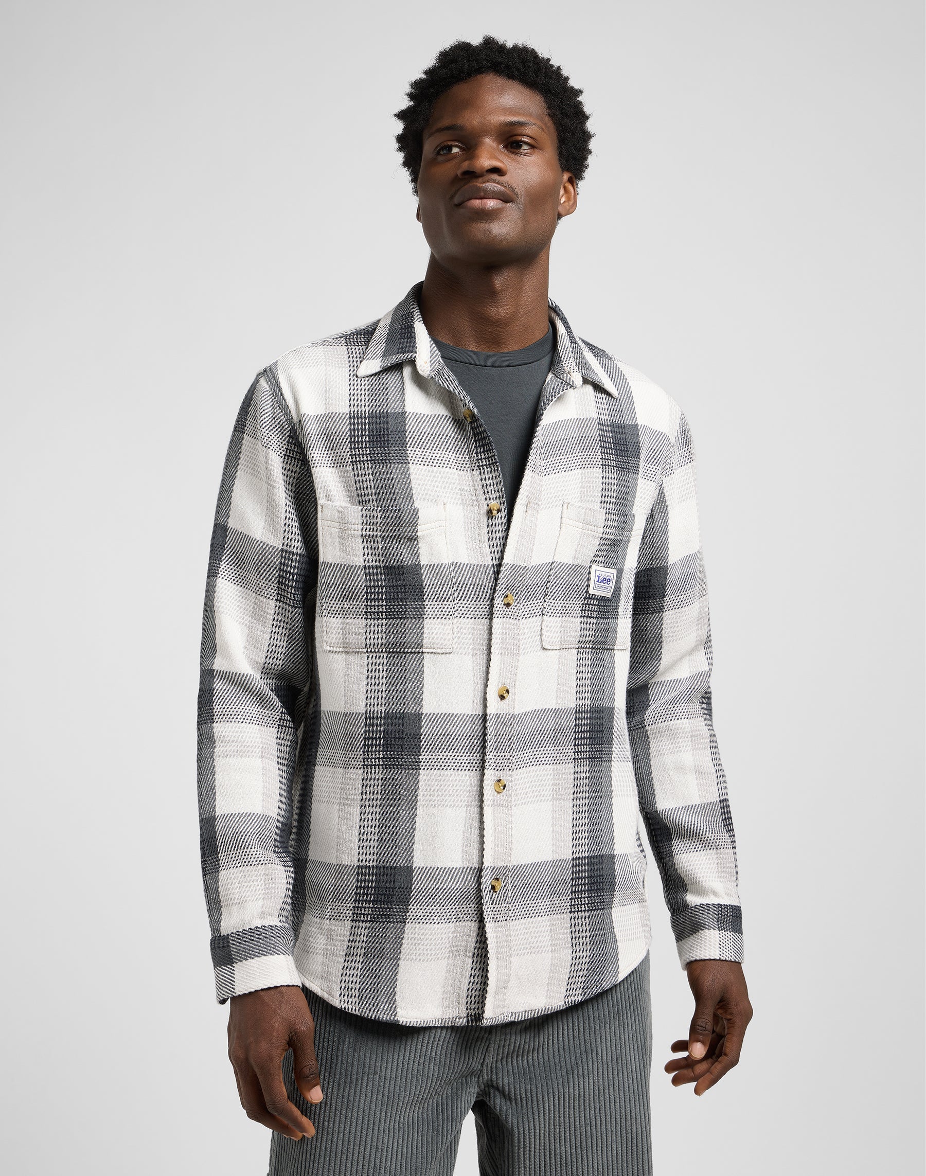 Workwear Shirt 2.0 in Rebel Navy Plaid Shirts Lee