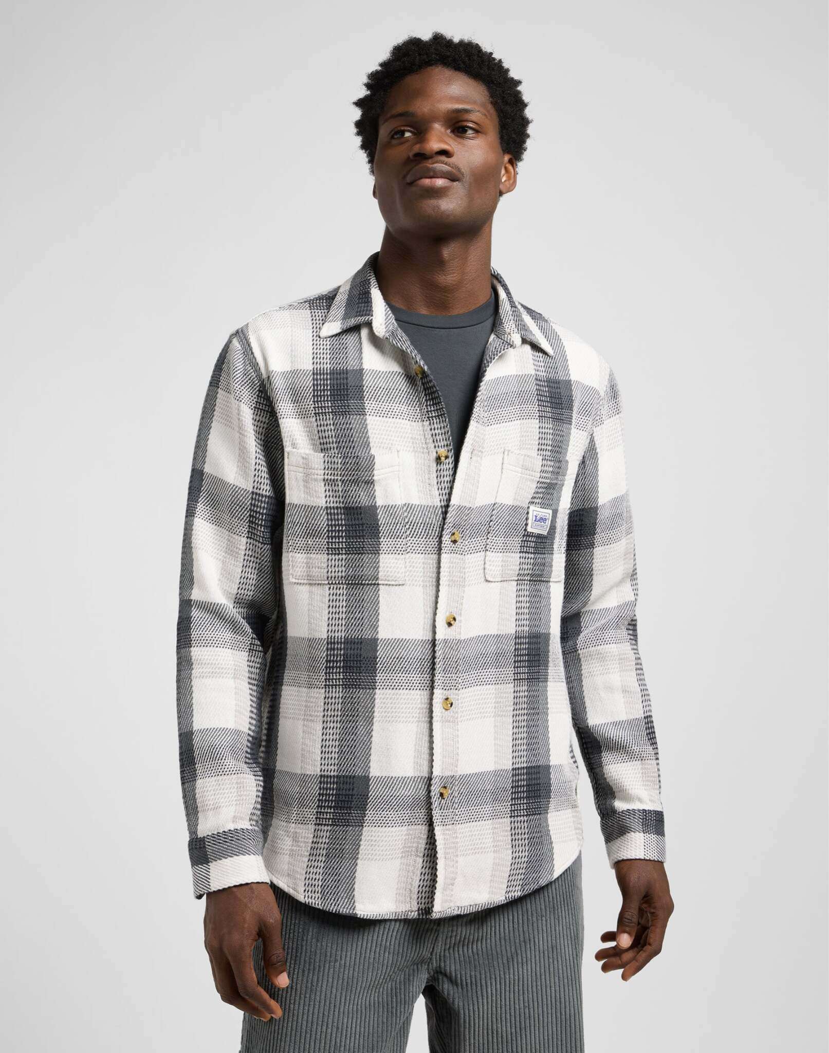 Workwear Shirt 2.0 in Rebel Navy Plaid Shirts Lee