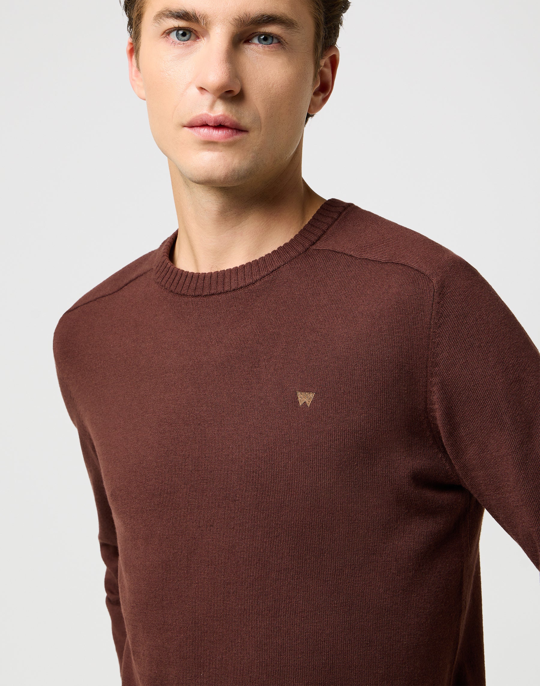 Knit Sweater in Mahogany Sweater Wrangler