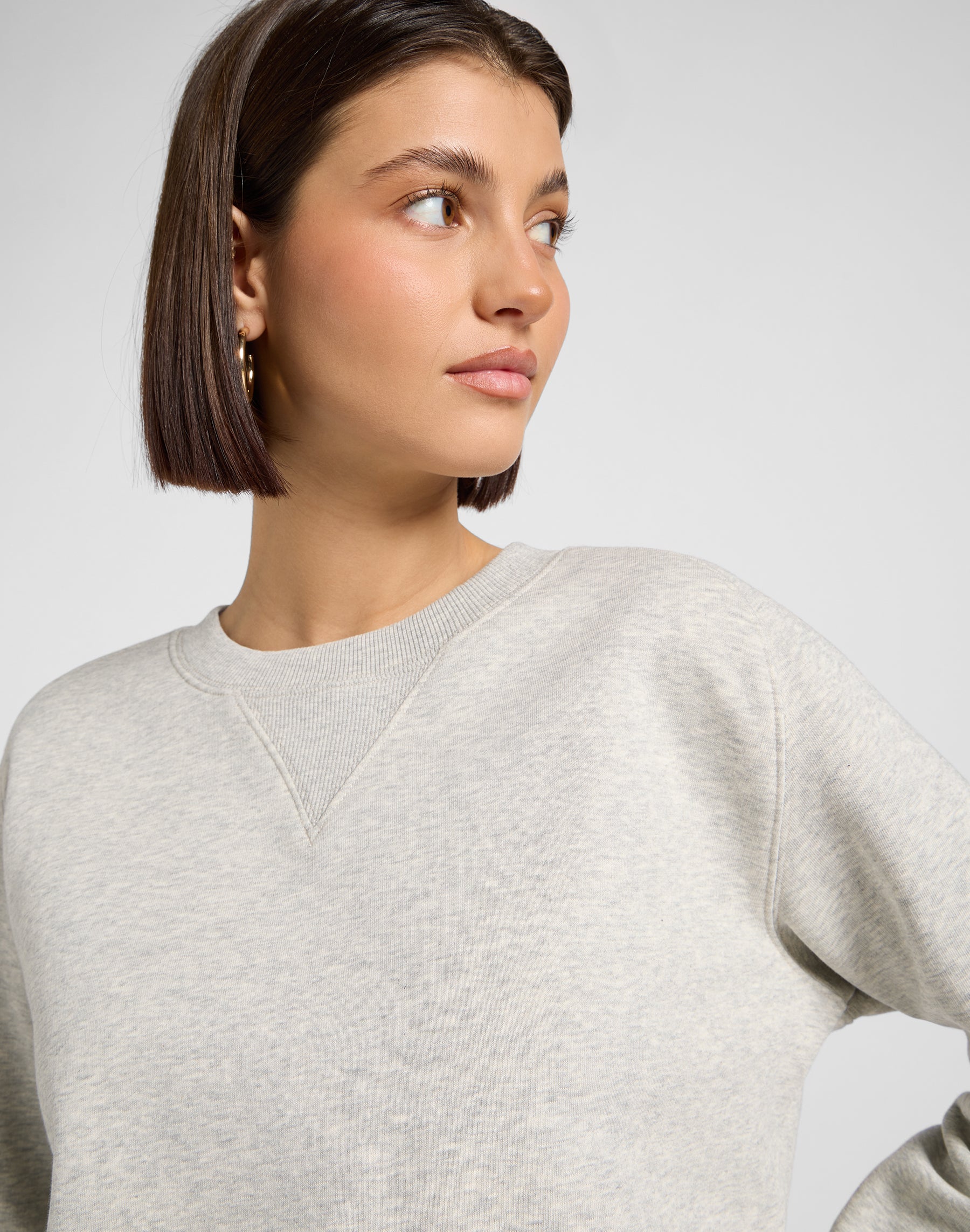 Raglan Crew Sws in Grey Heather Sweatshirts Lee