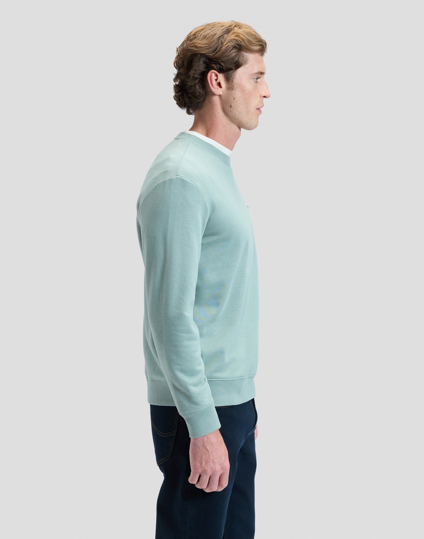 Patch Crew Sweatshirt in Desert Sage