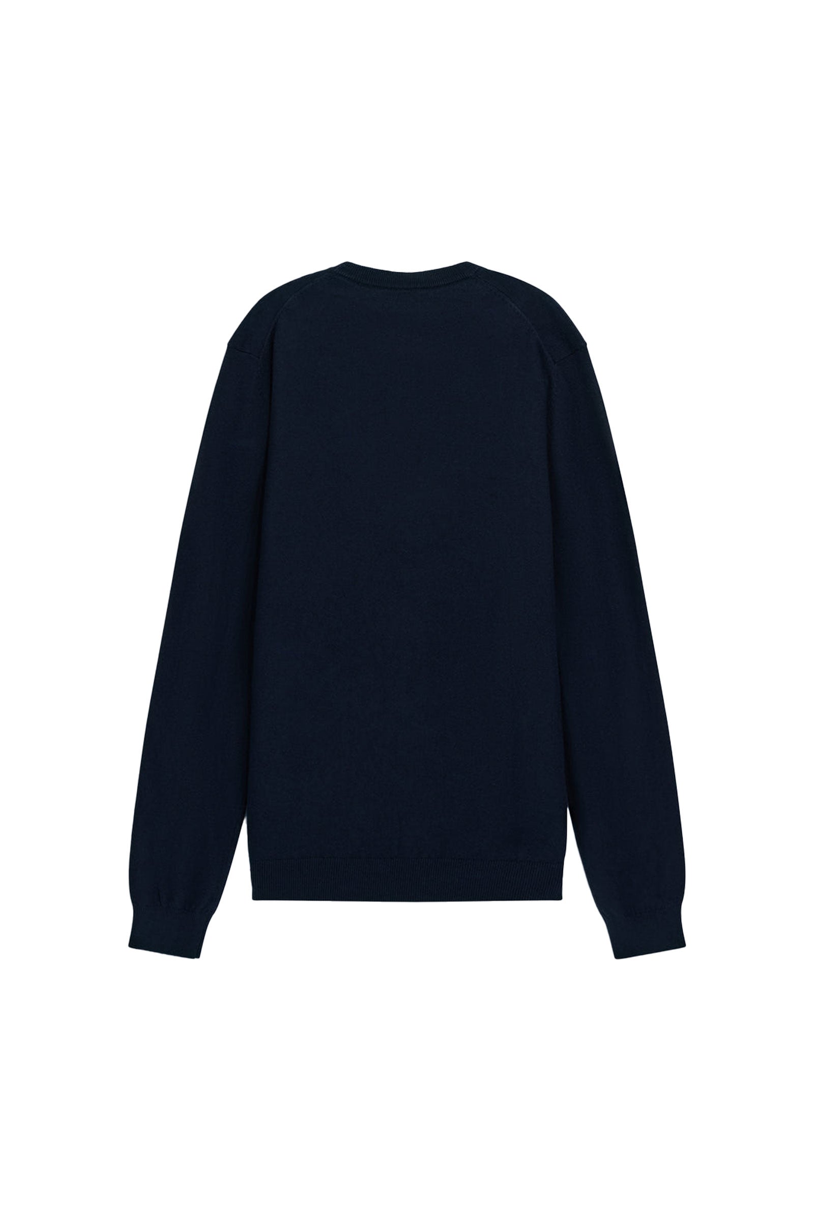 Arlo in Navy Blue Sweater GAS