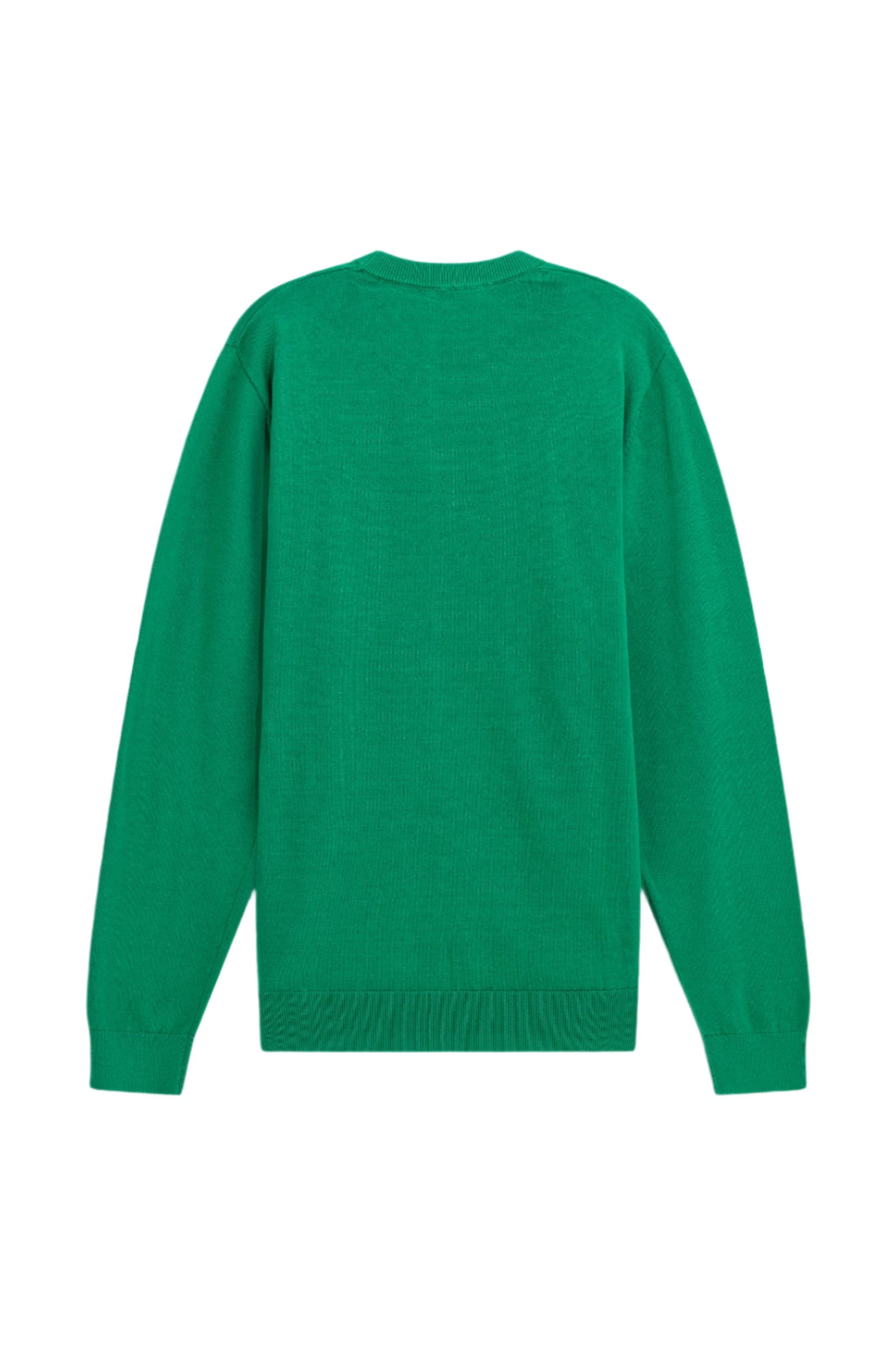 Avier Round Neck in Winter Green Sweater GAS