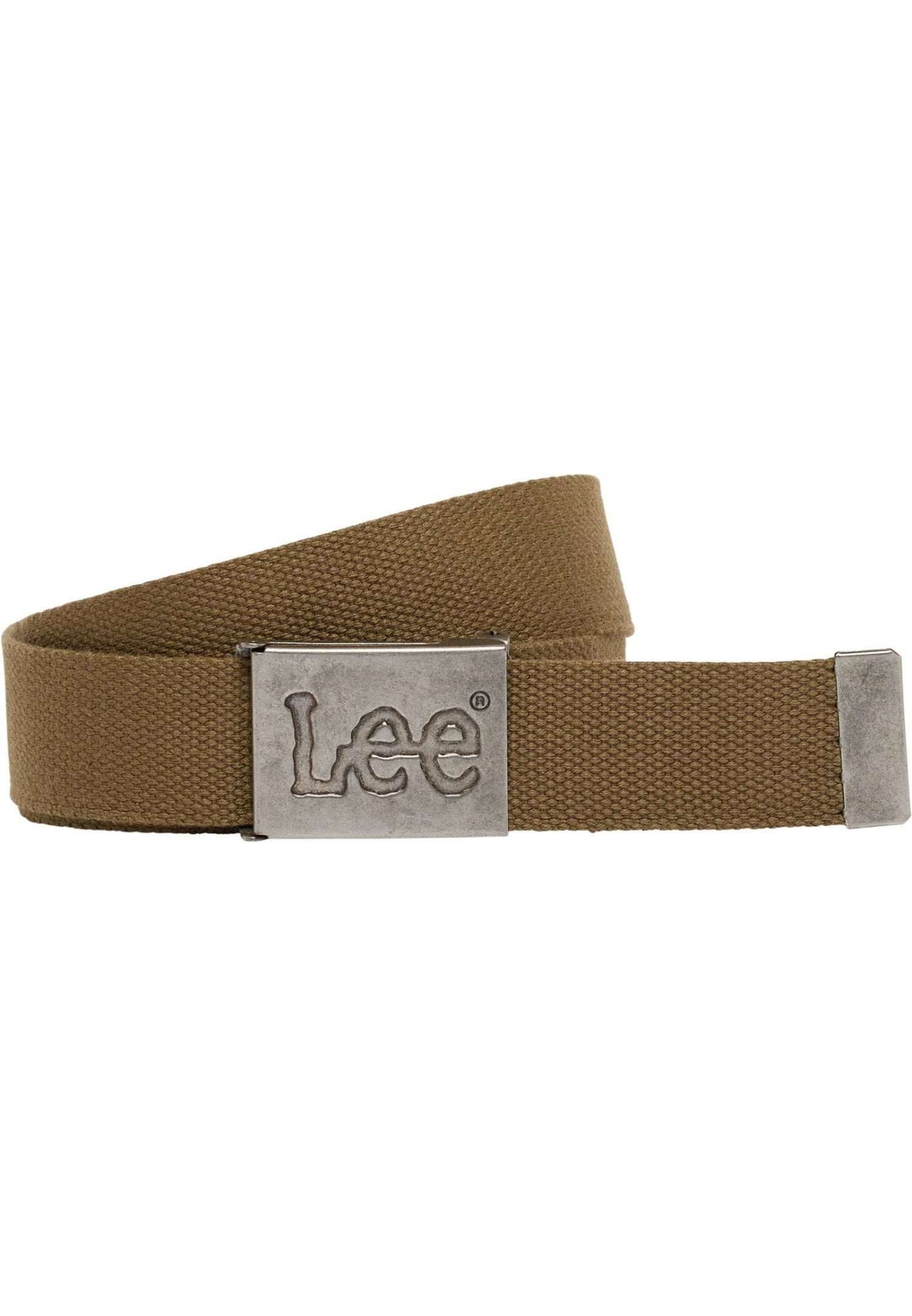 Webbing Belt in Truffle Belt Lee   