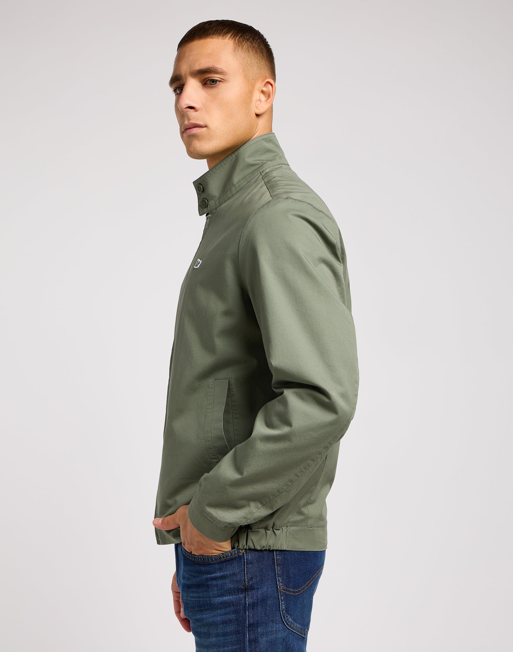 Harrington Jacket in Olive Grove Jackets Lee   