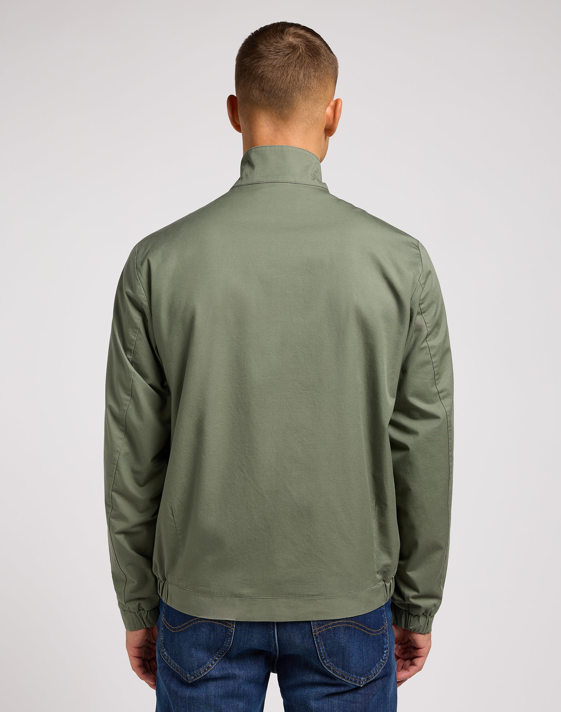 Harrington Jacket in Olive Grove Jackets Lee   