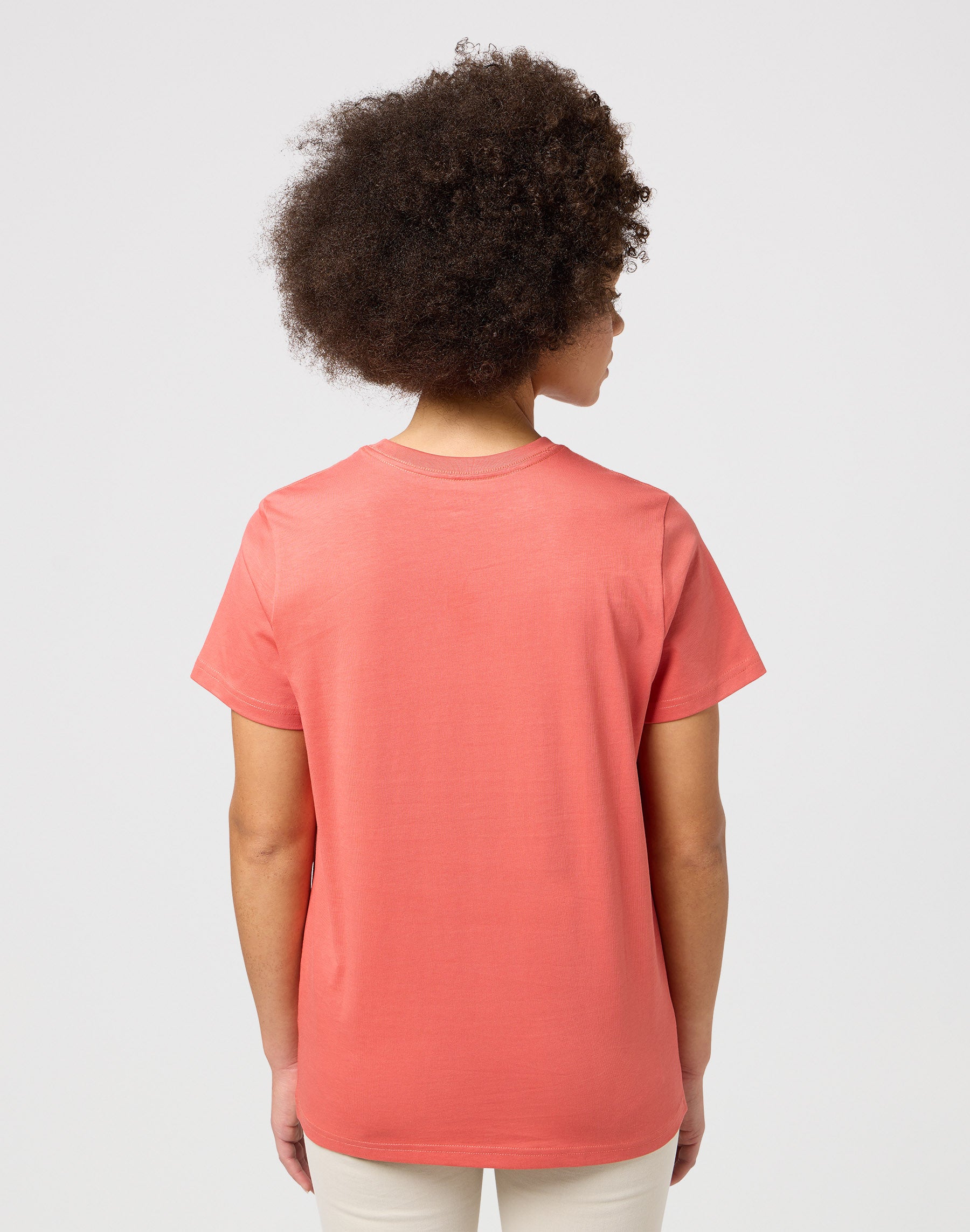 Regular Tee in Burnt Sienna T-Shirts Wrangler   