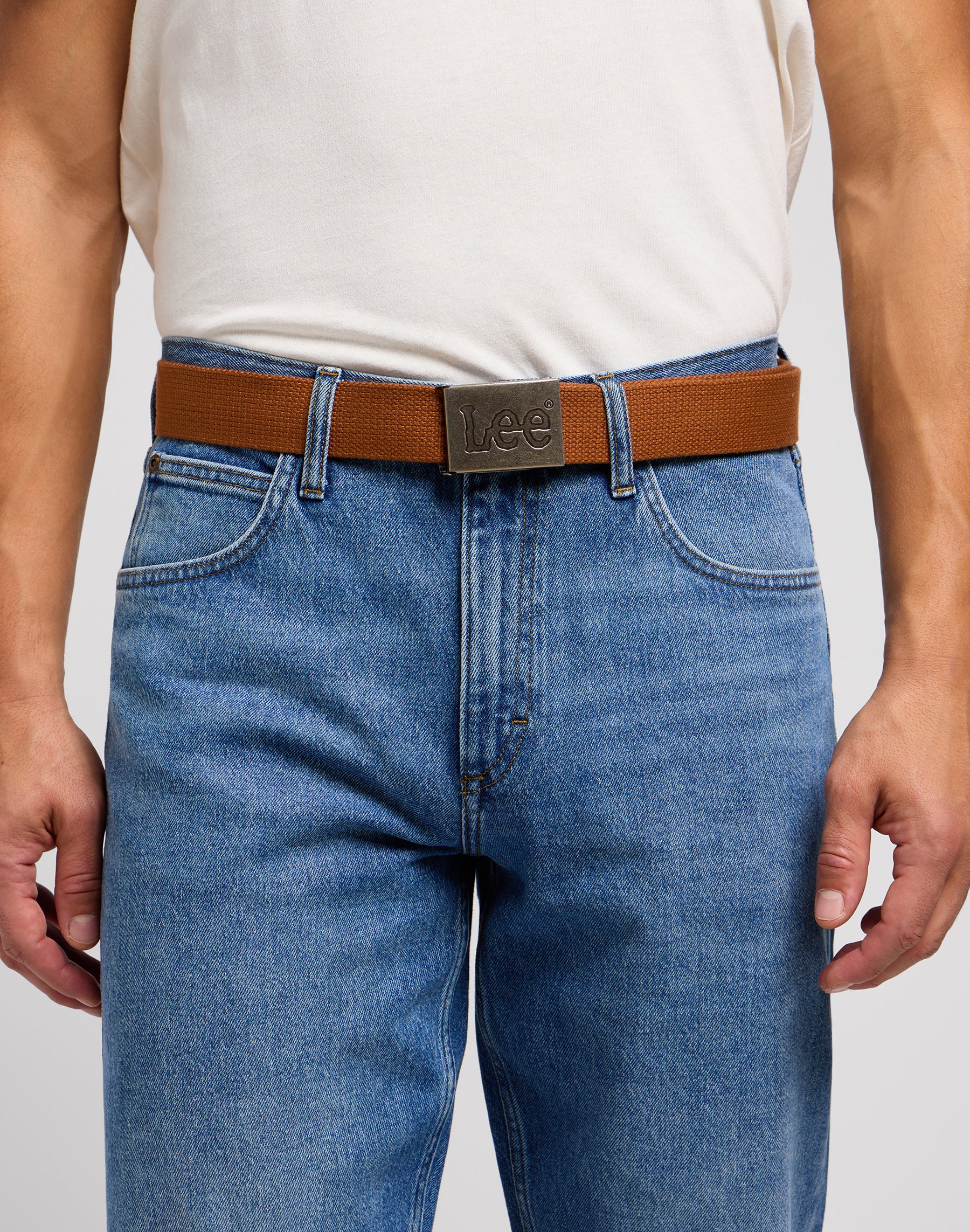 Webbing Belt in Acorn Belt Lee   