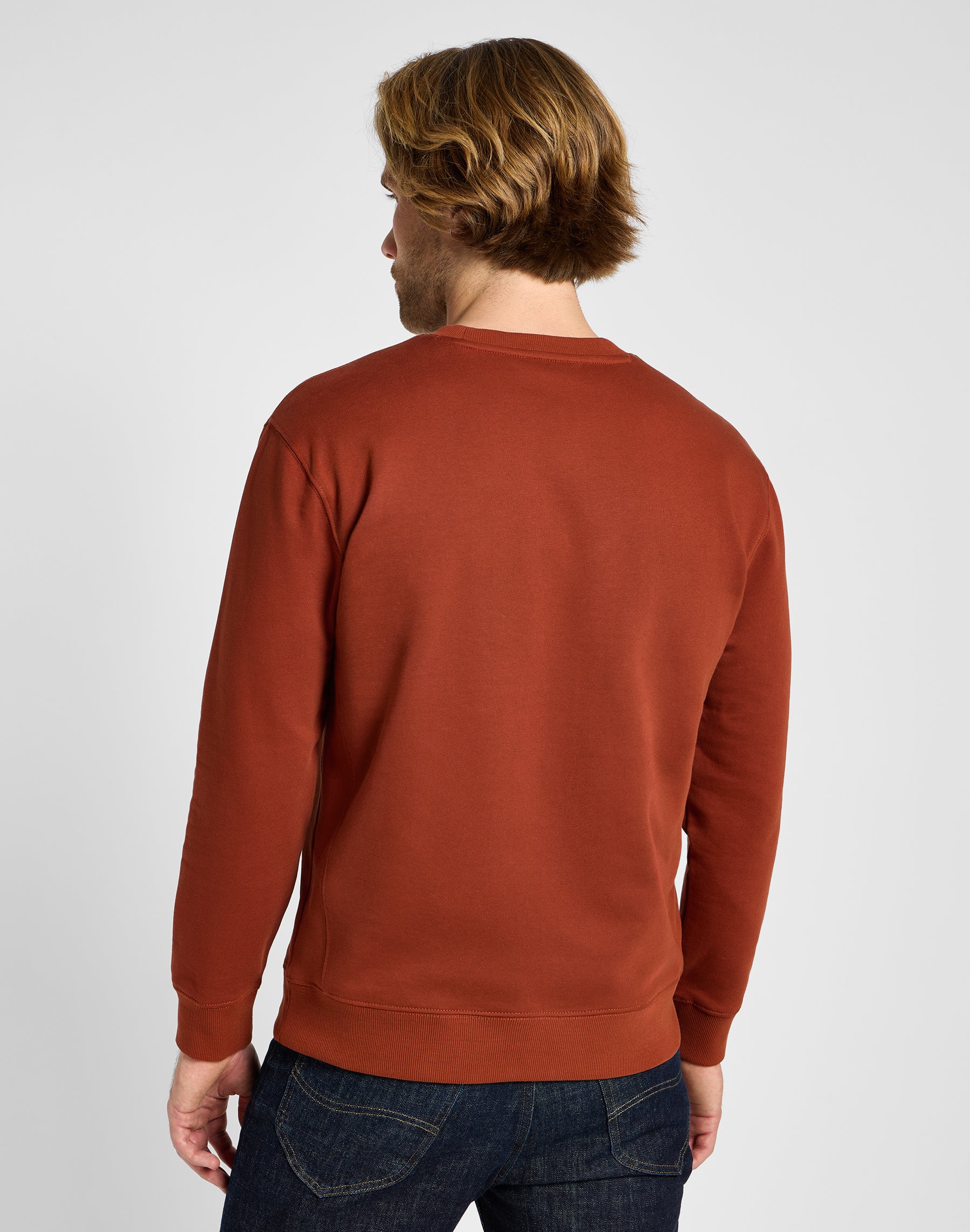 Plain Crew Sweater in Sweet Maple Sweatshirts Lee   