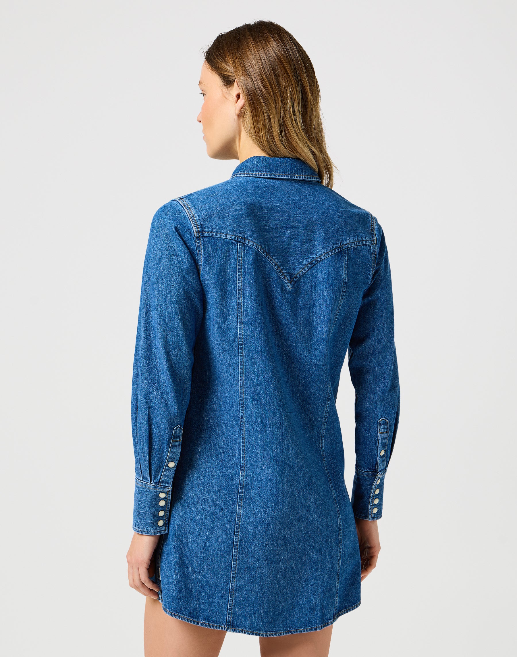 Reg Denim Dress in Petrified Dresses Wrangler   