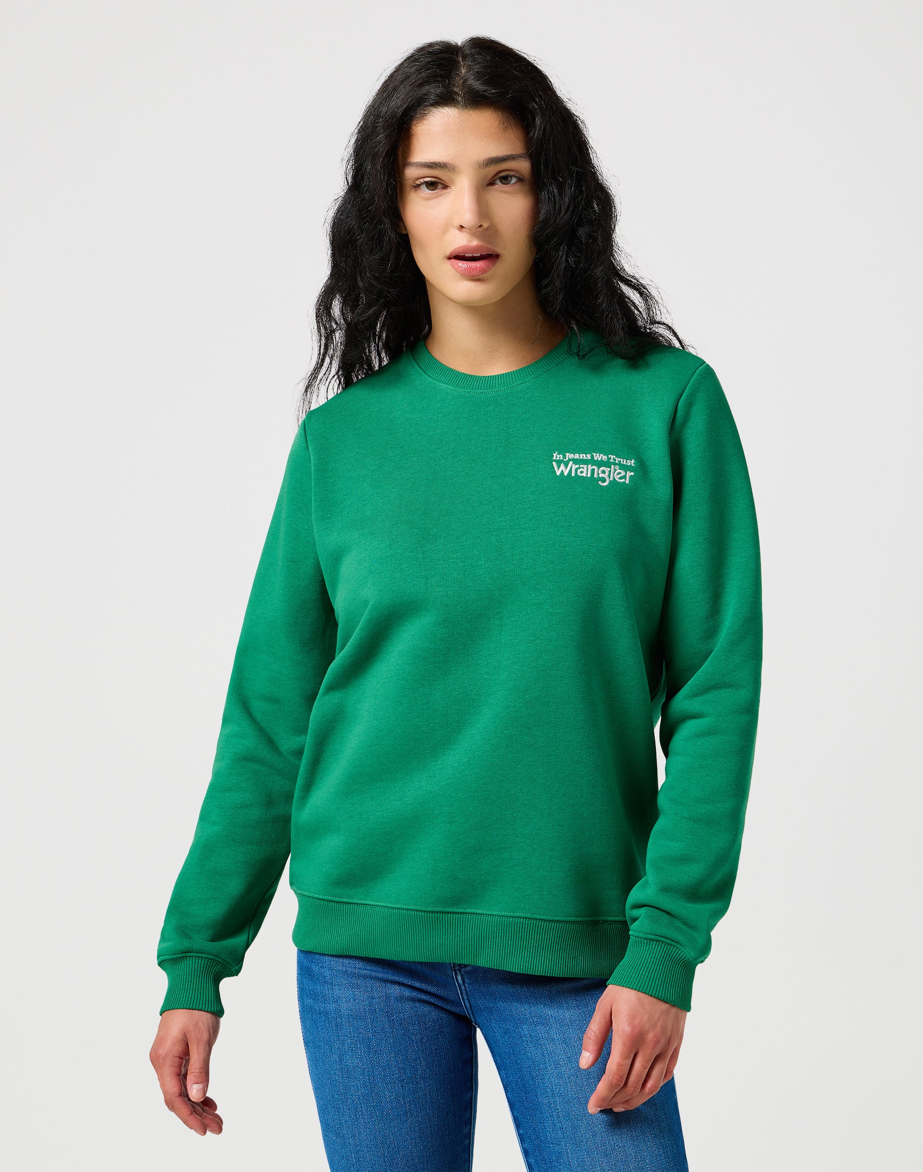 Regular Sweat in Verdant Green Pullover Wrangler   