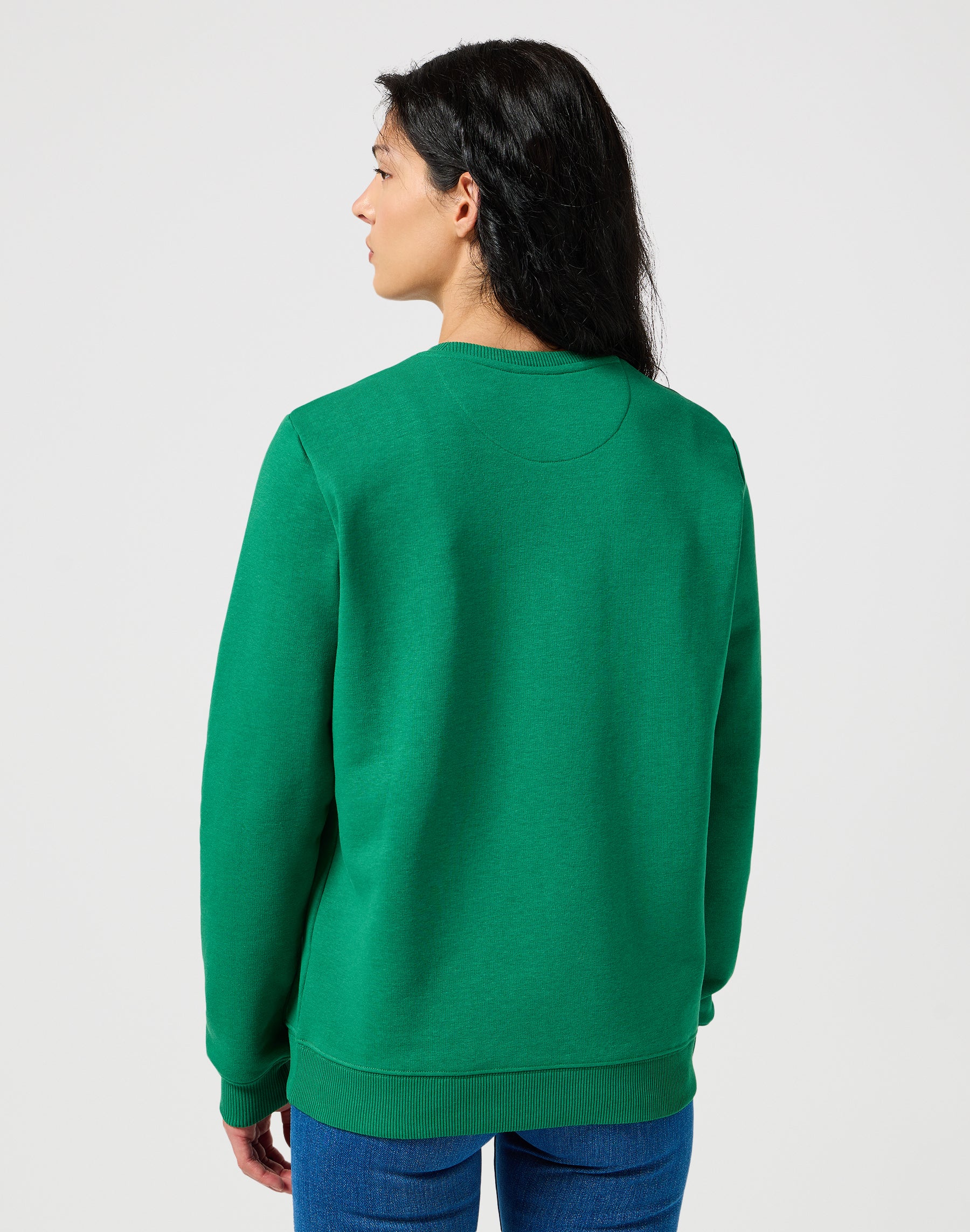 Regular Sweat in Verdant Green Pullover Wrangler   