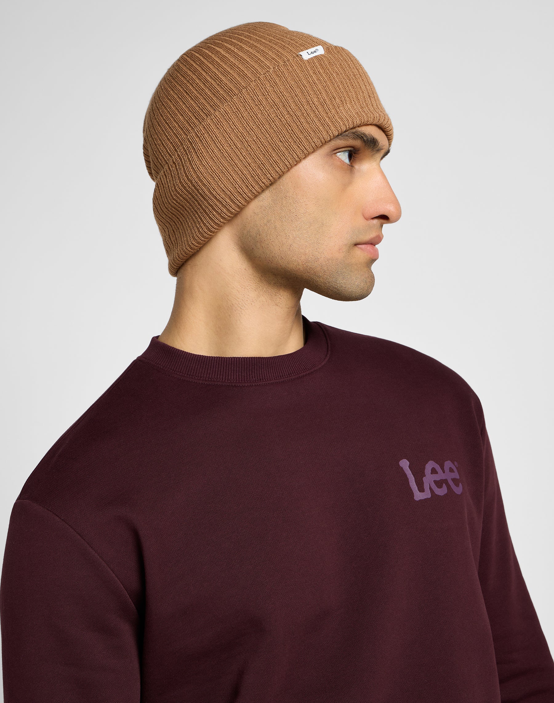 Ribbed beanie in Clove caps Lee   