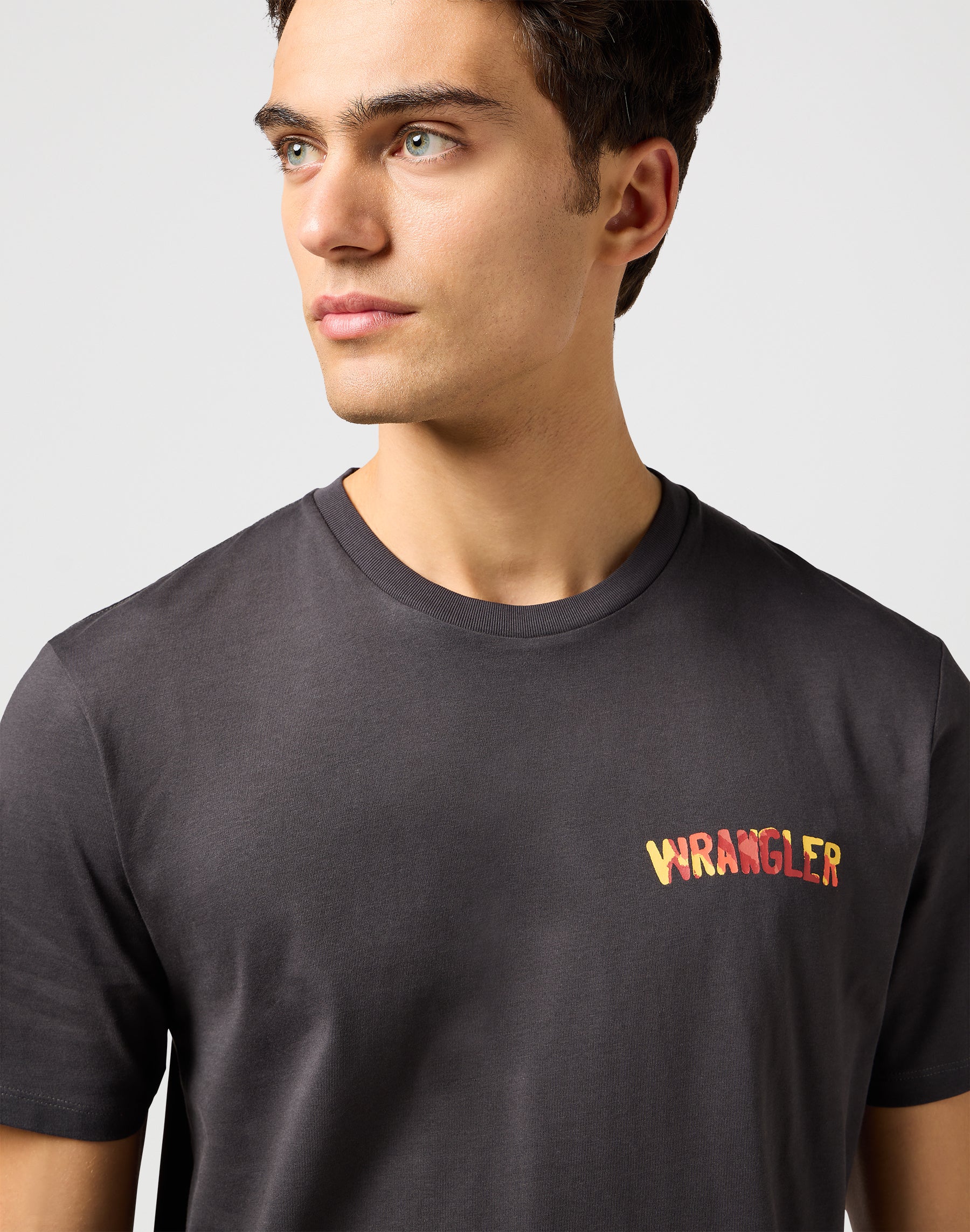 Big Graphic Tee in Faded Black T-Shirts Wrangler