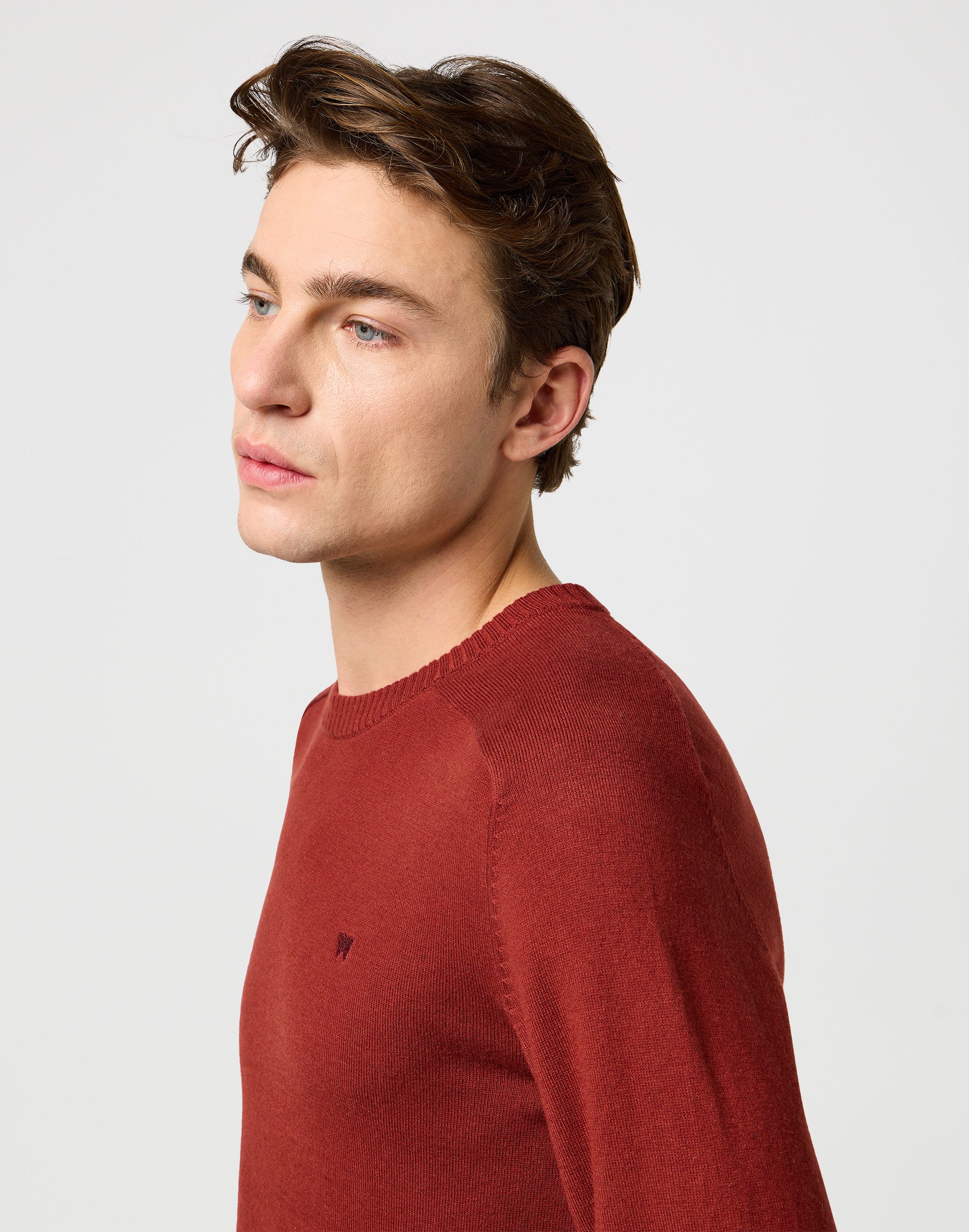 Knit Sweater in Fired Brick Pullover Wrangler