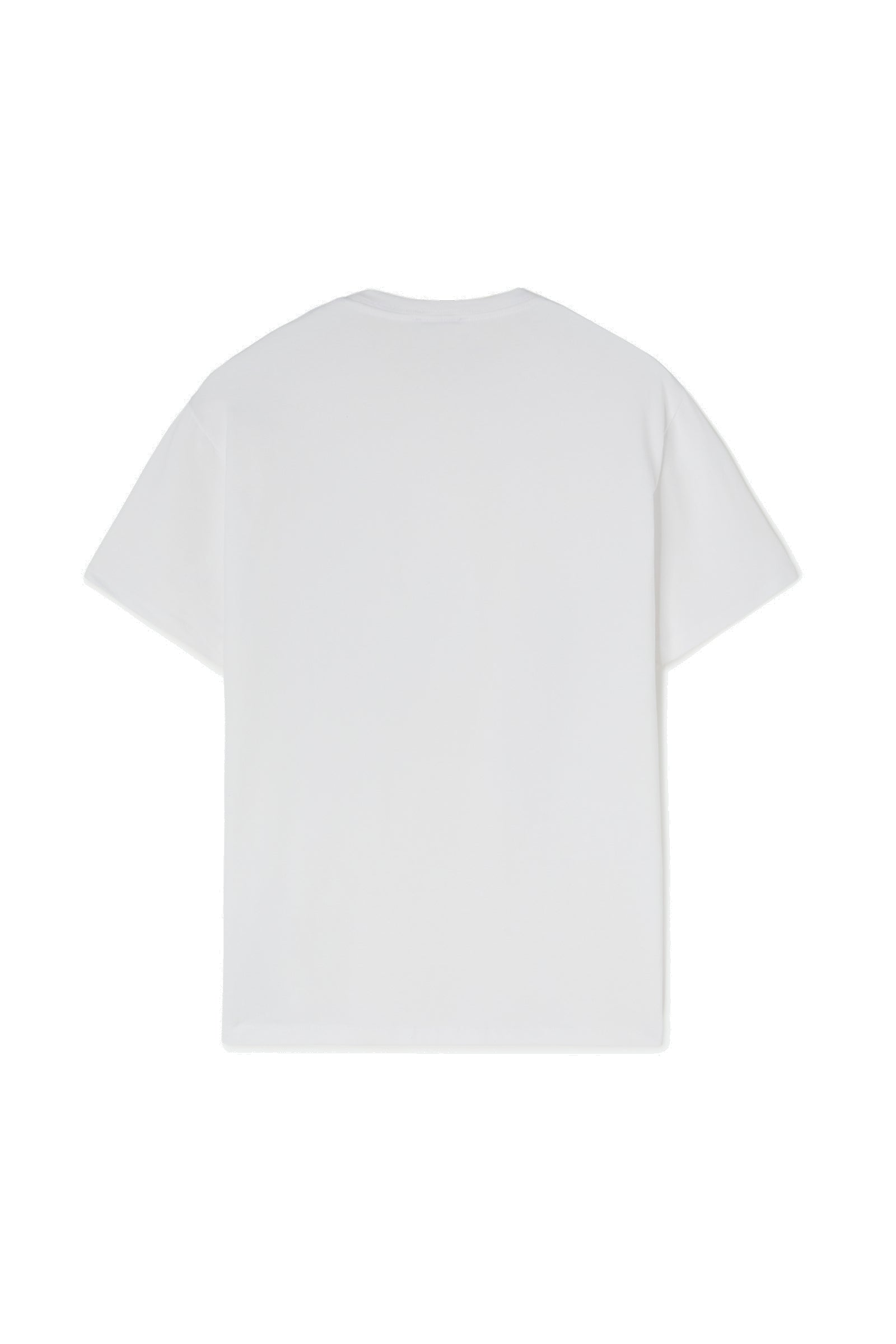 Scuba/S Brand G84 T-Shirt in White T-Shirts GAS   