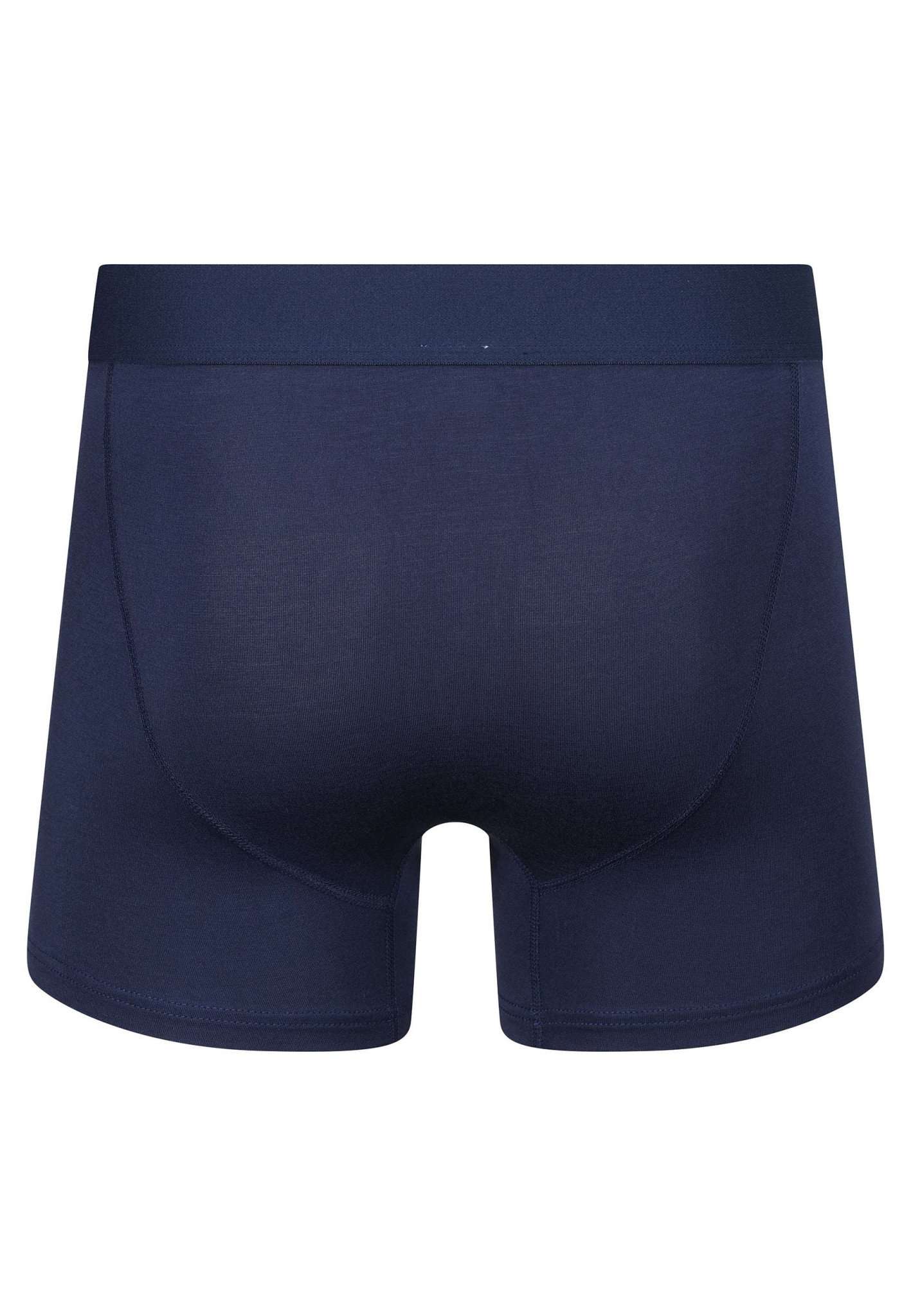 3 Pack Trunks Griffin in Dusk Blue Underwear Wrangler   