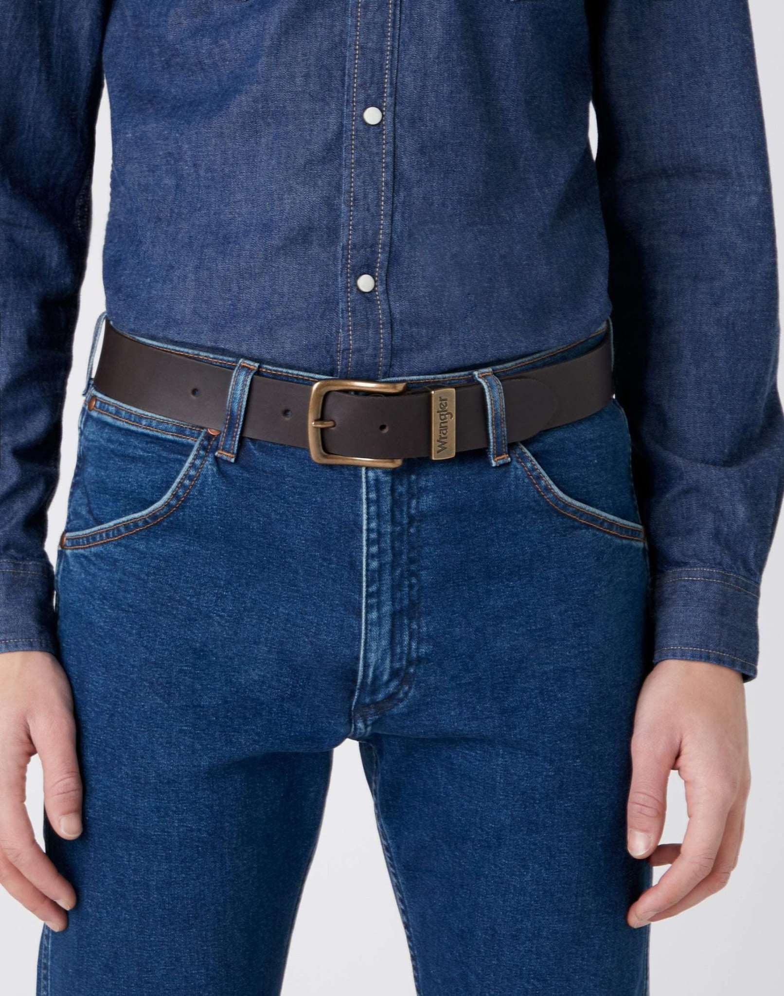 Metal Loop Belt in Brown Belt Wrangler   