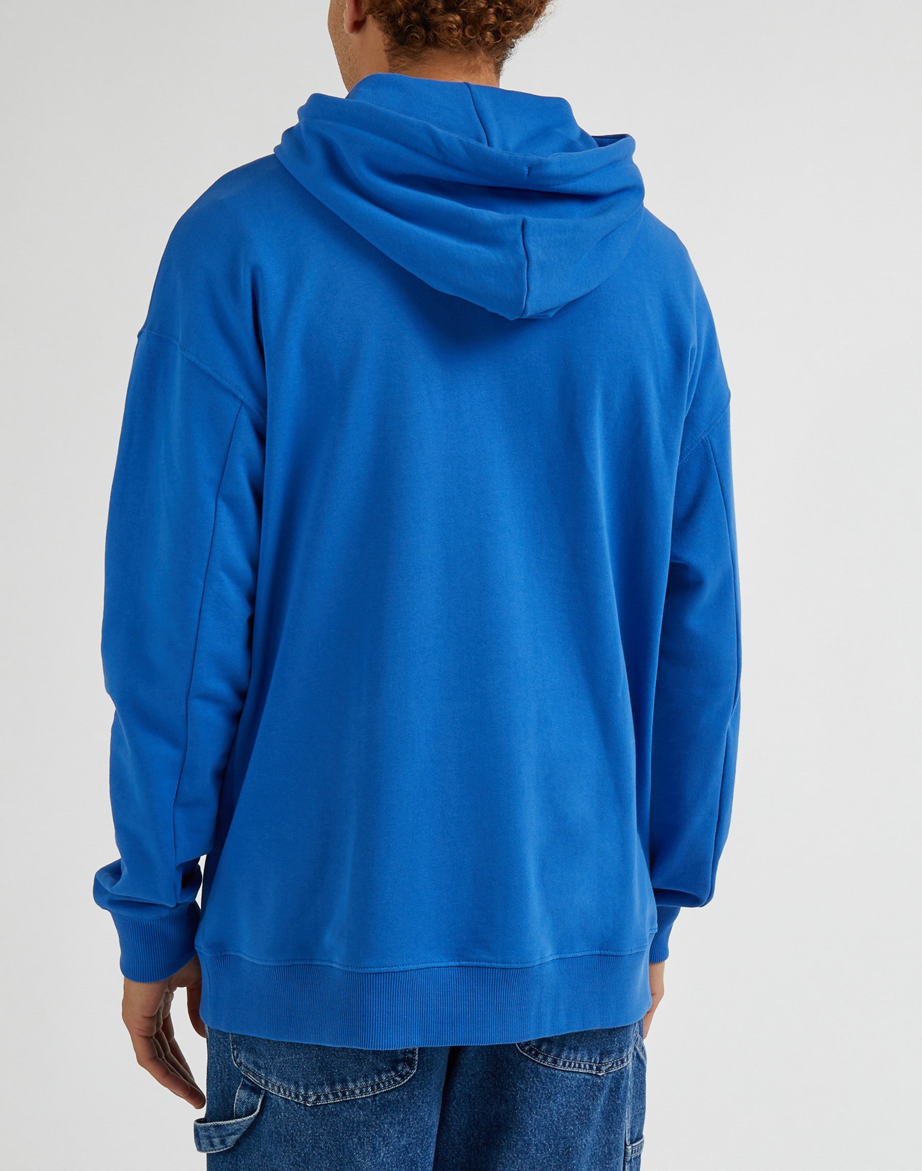 Loose Seasonal Hoodie in Ferris Hooded Sweater Lee   